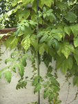 BILD1281.JPG