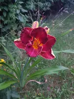 20190703_215856.jpg