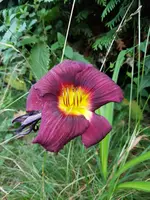 20190702_213406.webp
