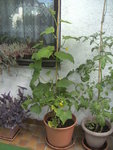 BILD1311.JPG