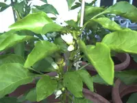 BILD1306.webp