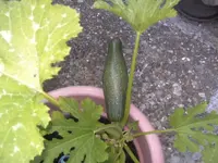 BILD1300.webp