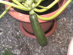 BILD1301.JPG