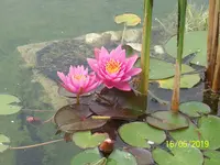 100_7635.webp