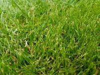 20190603_192354.webp