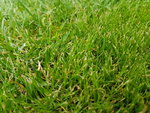 20190603_192354.jpg