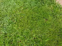 20190603_192344.webp