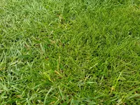 20190603_192413.webp