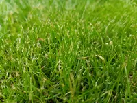 20190603_192402.webp