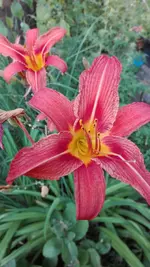 IMG_20190703_191002.webp