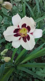 IMG_20190703_190955.webp