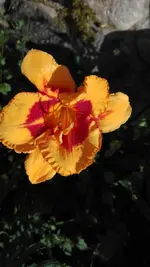 IMG_20190703_190836.webp