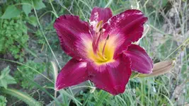 IMG_20190703_190729.webp