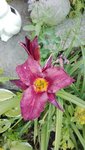 IMG_20190703_190629.jpg