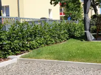 20190704_143317.jpg