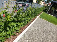 20190704_143307.webp