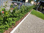 20190704_143307.jpg