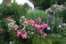 Juli   0419.webp