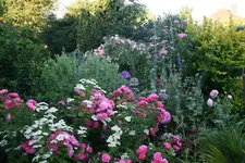 Juli   0719.webp