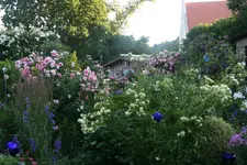 Juli   0919.webp