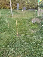 IMG_20190702_194810.webp