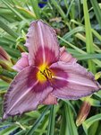 IMG_20190704_063832.jpg
