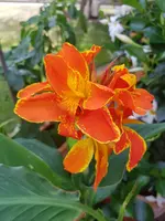 20190704_171635.webp