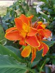 20190704_171635.jpg