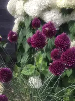 D00F1661-0E3A-471E-9E2C-AC7DB8BFC775.webp D00F1661-0E3A-471E-9E2C-AC7DB8BFC775.webp