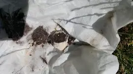 Garten - was ist das 3.jpg