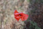 image002.jpg