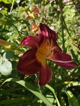 IMG_20190704_170621.jpg