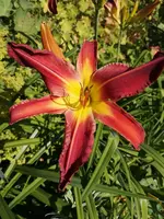 IMG_20190704_170704.webp