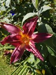 IMG_20190704_170905.jpg