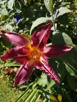 IMG_20190704_170905.webp