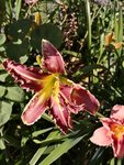 IMG_20190704_170821.jpg