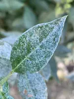 70D253A1-983E-4E28-858C-4F106FA9A737.webp 70D253A1-983E-4E28-858C-4F106FA9A737.webp