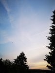 2019-07-04 21.19.26.jpg