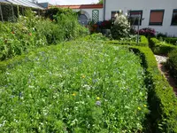 DSC00505.webp