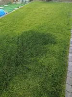 IMG_20190704_202703.webp