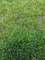 IMG_20190704_202718.webp