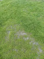 MVIMG_20190704_210915.webp