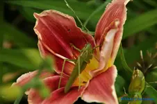 comp_DSC07980.jpg