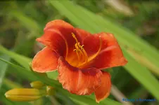 comp_DSC07978.webp