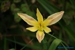 comp_DSC07983.jpg