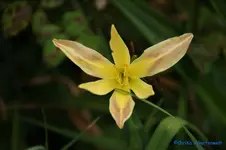 comp_DSC07983.webp