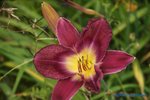comp_DSC07985.jpg