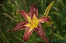 comp_DSC07987.webp