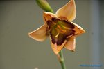 comp_DSC07990.jpg
