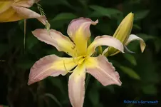 comp_DSC07993.webp